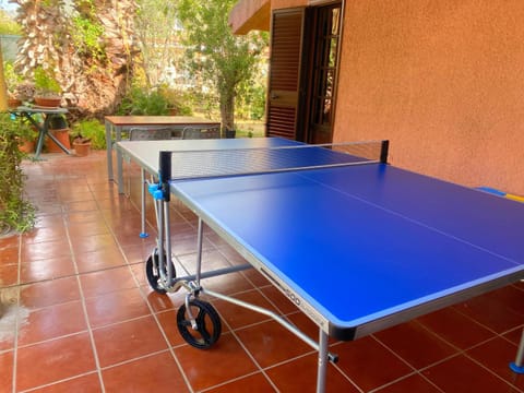 Table tennis, Table tennis