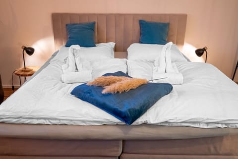 Schängel Chic 19 Apartment in Koblenz