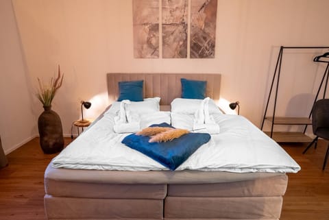 Schängel Chic 19 Apartment in Koblenz