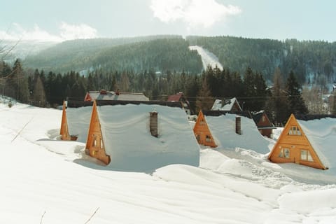Property building, Day, Natural landscape, Winter, Mountain view
