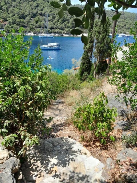 A tiny sea home in the wilderness House in Vis