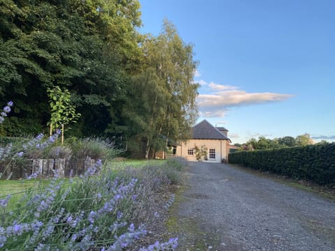 Property building, Spring