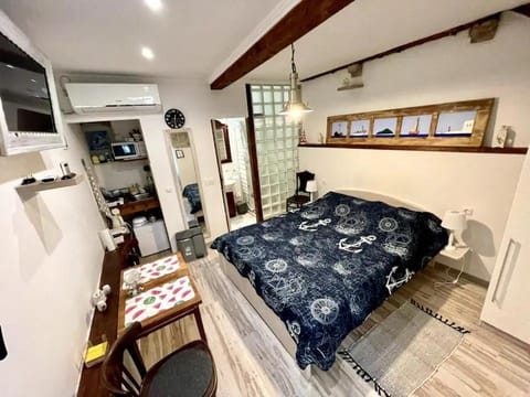 Bed, TV and multimedia, Kitchen or kitchenette, Photo of the whole room, Bedroom, air conditioner