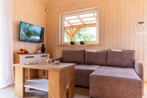 Communal lounge/ TV room, Living room, Seating area