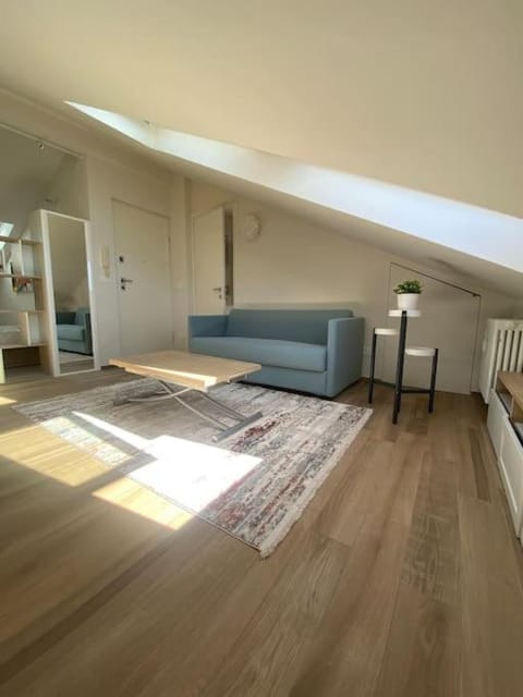 Deliziosa mansarda con vista panoramica Apartment in Cuneo