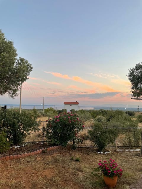 Natural landscape, Garden, Sea view, Sunrise, Sunset