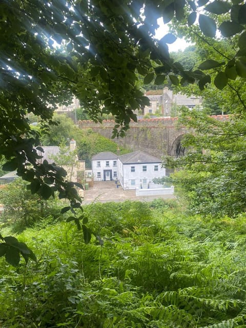 Property building, Natural landscape, Garden