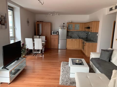 TV and multimedia, Kitchen or kitchenette, Living room, Dining area, minibar, pet friendly
