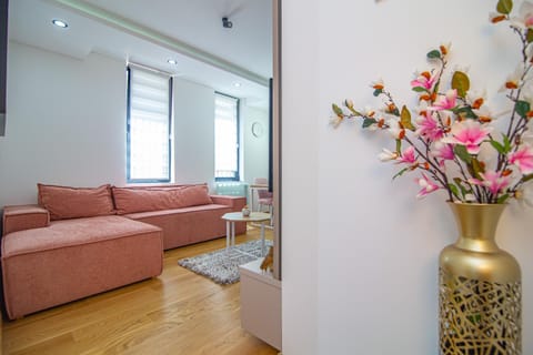 Srebrni vrhovi 07 Apartment in Zlatibor