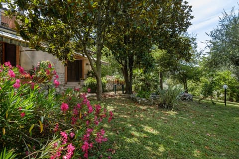 Umbria Country B&B Bed and Breakfast in Umbria