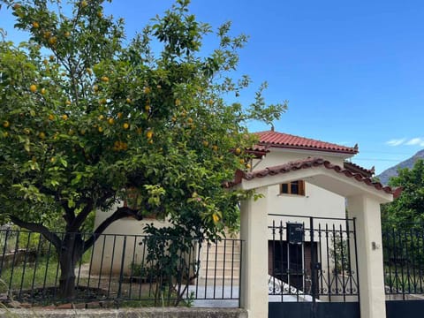 Lemon Tree House House in Leonidio