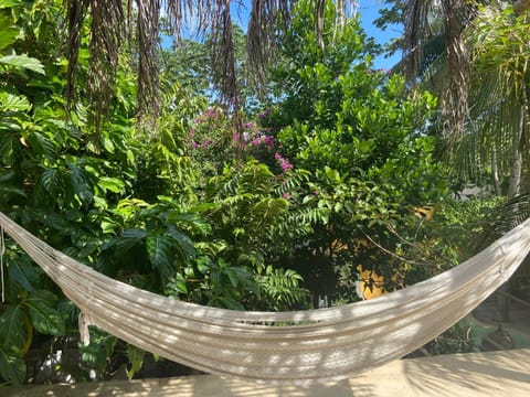 Natural landscape, Balcony/Terrace
