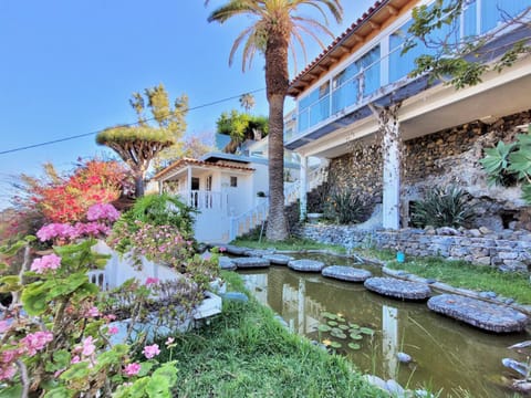Property building, Garden, Garden, Garden view