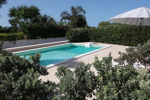 Garden, Pool view, Swimming pool