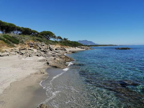 Beach, Sea view