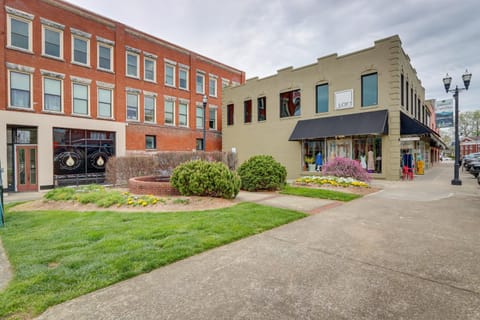 Luxurious Downtown Murphy Vacation Rental Loft! Apartment in Murphy