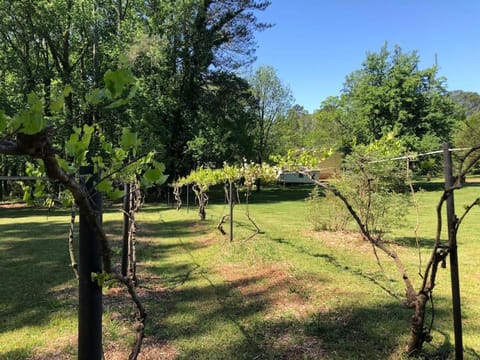 Beautiful Farmhouse near Atlanta's Airport! House in Atlanta