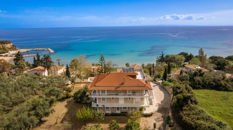 Property building, Bird's eye view