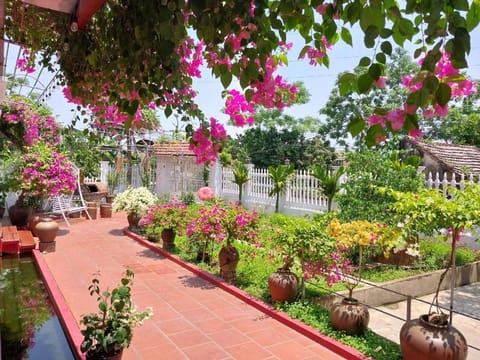 Spring, Day, Garden, Garden view
