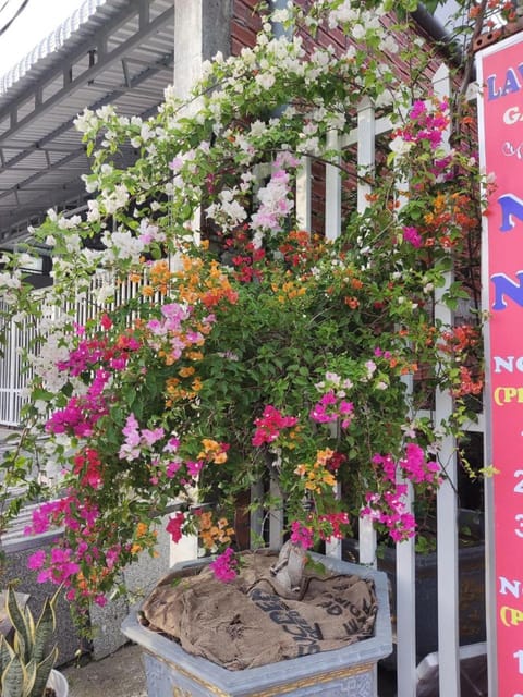 Spring, Day, Garden