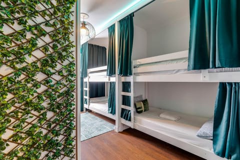 Bed, Photo of the whole room, Bedroom, bunk bed