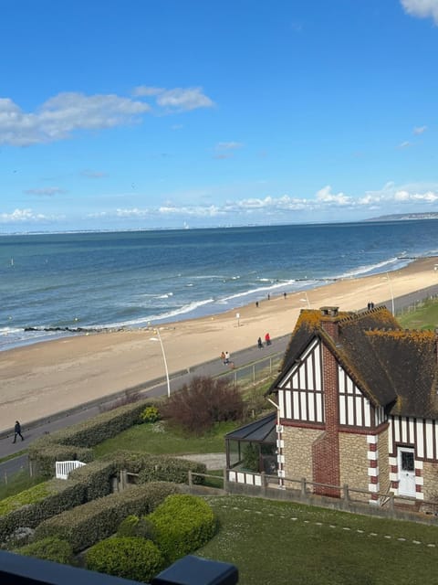 Natural landscape, Bird's eye view, Beach, Sea view