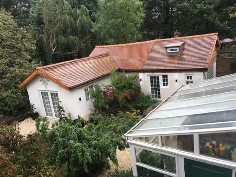 Property building, Garden, Garden view
