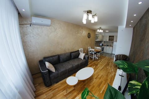 Living room, air conditioner