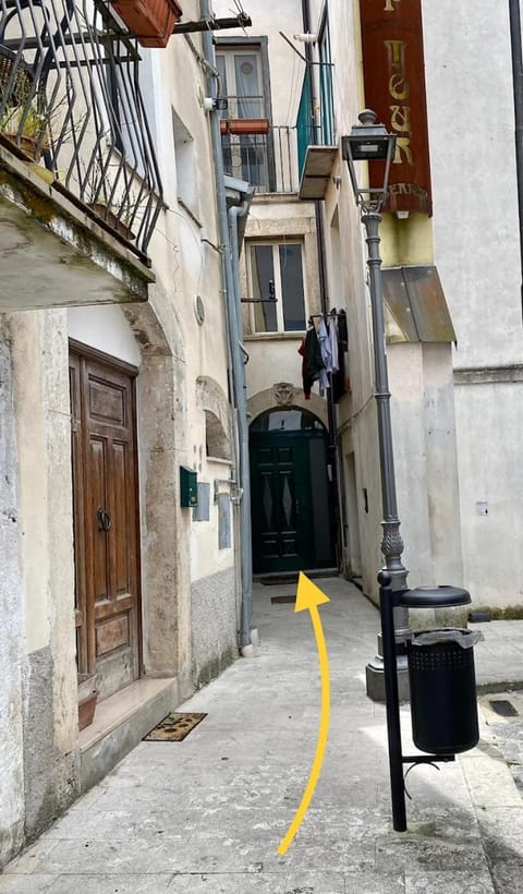 Property building, Day, Neighbourhood, Street view