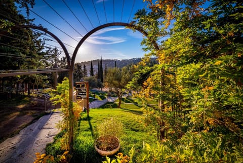 Spring, Day, Natural landscape, Garden, View (from property/room), Garden view, Mountain view, Area and facilities