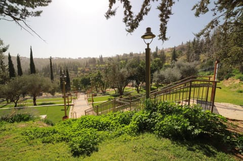 Spring, Day, Natural landscape, Garden, View (from property/room), Garden view