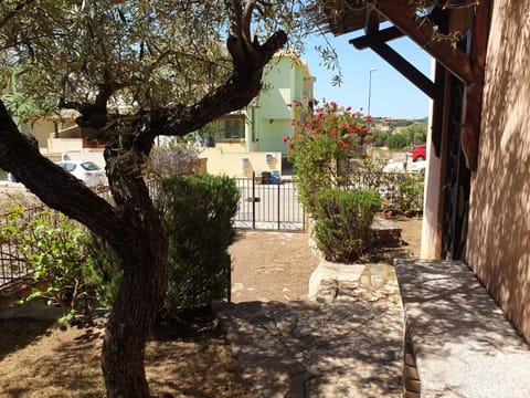 Spring, Garden, Garden view