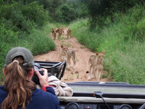 People, Natural landscape, Animals