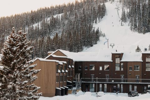 Property building, Day, Natural landscape, Winter, Mountain view