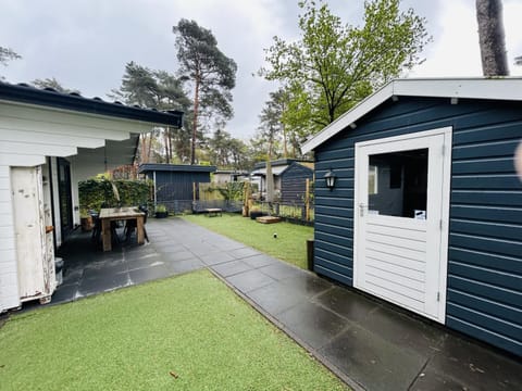 Patio, Garden, Garden view