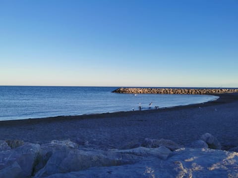 SPACIEUX APPARTEMENT FRONT DE MER Apartment in Saintes-Maries-de-la-Mer