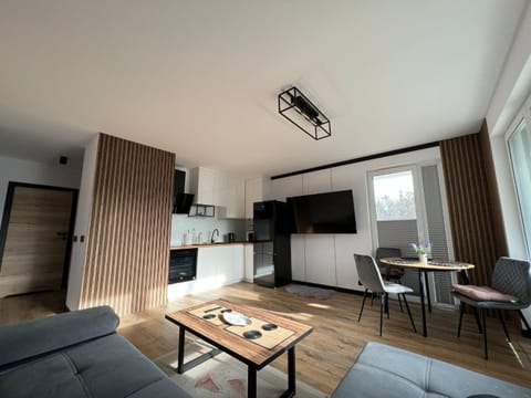 TV and multimedia, Kitchen or kitchenette, Living room, Seating area, Dining area, minibar, pet friendly, stove