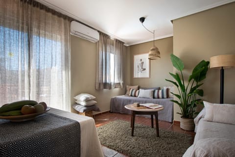 Living room, Photo of the whole room, Seating area, air conditioner