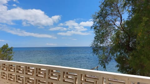 Natural landscape, Sea view