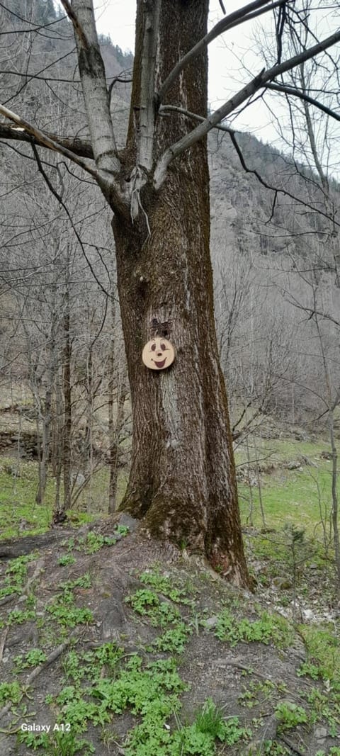 Baita salzkabe House in Macugnaga