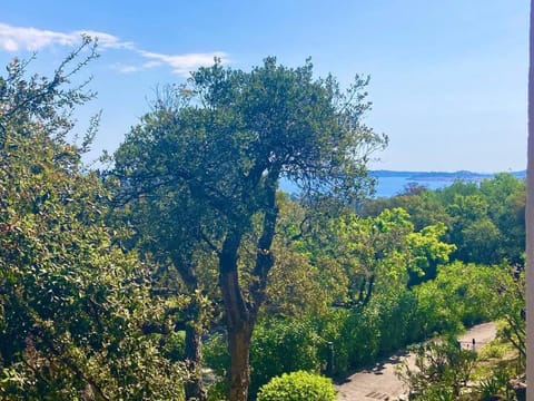 Les Restanques 3 étoiles 4 à 5 pers 2143 Apartment in Grimaud