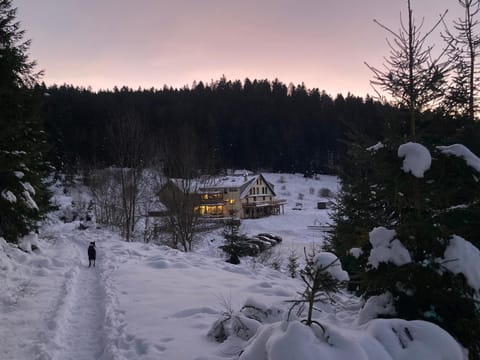 Le Perchoir du Grand Valtin - Gîte 9 personnes - Altitude 830 Apartment in Xonrupt-Longemer