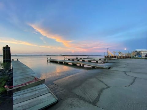 Pet Friendly Tranquil Cottage with Fire-Pit & Hot Tub Minutes to BEACHES House in Dauphin Island