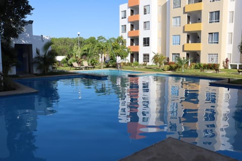 Garden, Garden view, Swimming pool