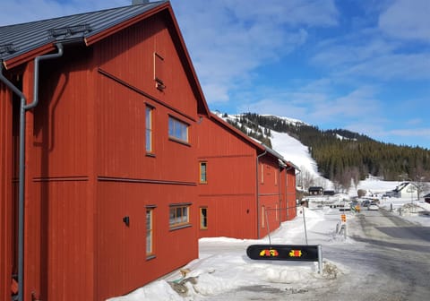 Property building, Day, Natural landscape, Winter, Mountain view