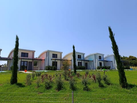 Property building, Garden, Garden, Inner courtyard view