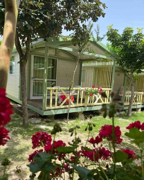 Property building, Balcony/Terrace