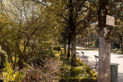 Cube du Serpent Royal - Charmante Mezzanine Apartment in Saint-Cyr-sur-Loire