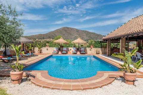 Patio, Natural landscape, Swimming pool