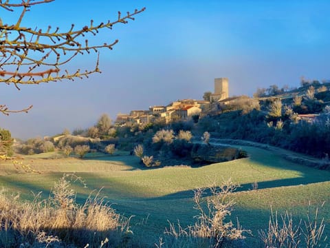 Landmark view